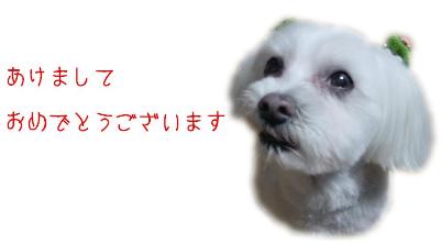 VN.JPG